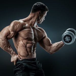 Monthly Plan Bodybuilder Package (28 Chicken Meals)